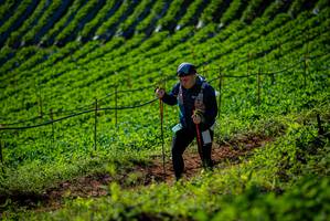 BIB: 
                            <button type="button" onclick="openModal(19161135)" class="btn btn-primary btn-sm float-right btn-popup" data-toggle="modal" data-target=".modal-high-quality">
                        <i class="fas fa-shopping-cart"></i> Add to Cart
                    </button>
                                            <button type="button" onclick="isThisMe(19161135, true)" class="btn btn-success btn-sm float-right btn-popup btn-isme hidden" data-toggle="tooltip" data-placement="bottom" title="นี่คือรูปของคุณใช่ไหม คลิกที่นี่เพื่อเอาเข้าอัลบั้ม">
                        <i class="fas fa-plus"></i> Add to album
                    </button>
                    <button type="button" onclick="isThisMe(19161135, false)" class="btn btn-warning btn-sm float-right btn-popup btn-isnotme hidden">
                        <i class="fas fa-ban"></i> Remove from album
                    </button>